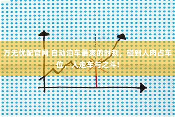 万无优配官网 自动泊车最爽的时刻，碰到人肉占车位，人走车与之斗!