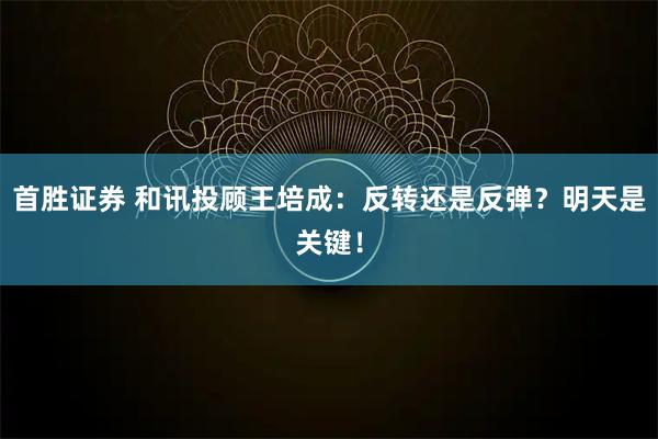 首胜证券 和讯投顾王培成：反转还是反弹？明天是关键！