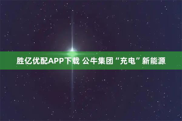 胜亿优配APP下载 公牛集团“充电”新能源