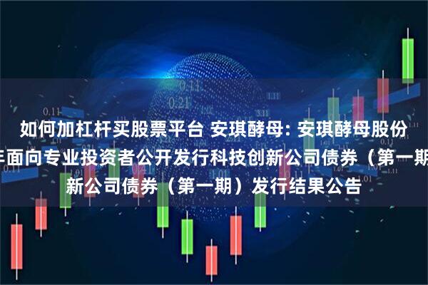 如何加杠杆买股票平台 安琪酵母: 安琪酵母股份有限公司2025年面向专业投资者公开发行科技创新公司债券（第一期）发行结果公告