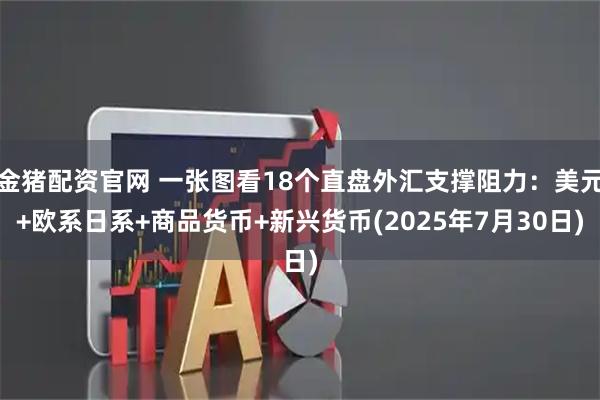 金猪配资官网 一张图看18个直盘外汇支撑阻力：美元+欧系日系+商品货币+新兴货币(2025年7月30日)