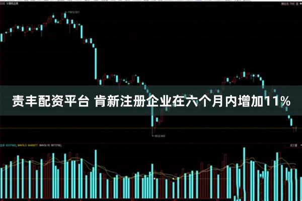 责丰配资平台 肯新注册企业在六个月内增加11%