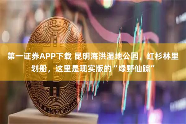 第一证券APP下载 昆明海洪湿地公园，红杉林里划船，这里是现实版的“绿野仙踪”